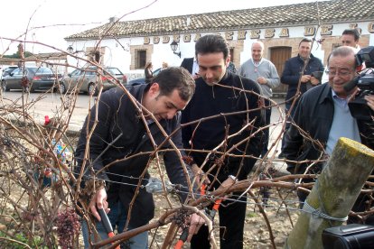 El periodista José Ribagorda oficia como padrino de la primera edición de la Vendimia 2011 en los viñedos de la Bodega Dehesa de los Canónigos.
