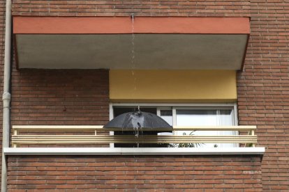 El día después a la gran tormenta que colapsó Valladolid