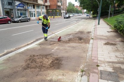 Daños en el paseo de Juan Carlos I tras la tormenta en Valladolid