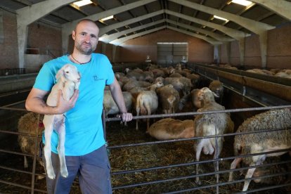 Eduardo Robles, alcalde de la localidad sostiene un cordero de pocos días en su explotación ganadera La Florida.