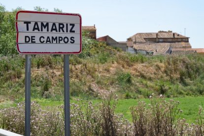Tamariz de Campos