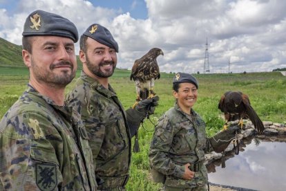 Dos nuevas rapaces en el Regimiento de Caballería 'Farnesio 12'.