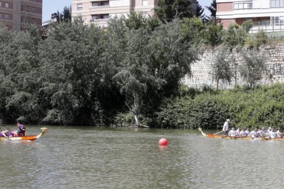 La carrera amistosa entre las Vallkirias contra los Celtas Cortos en Valladolid