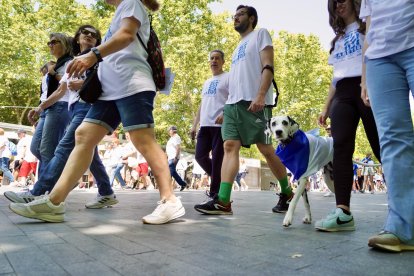 La Asociación de Diabetes de Valladolid (Adiva) celebra la VIII Marcha Solidaria por la Diabetes