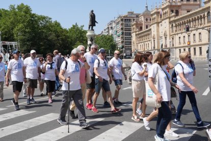 Marcha solidaria por la Diabetes