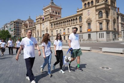 Marcha solidaria por la Diabetes