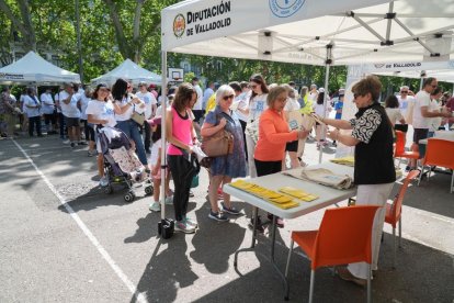 Marcha solidaria por la Diabetes