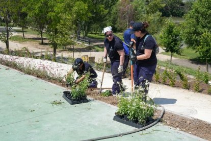 Preparativos para inaugurar el carril bici de Isabel La Católica.