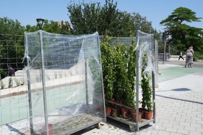 Preparativos para inaugurar el carril bici de Isabel La Católica.