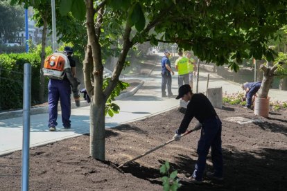 Preparativos para inaugurar el carril bici de Isabel La Católica.