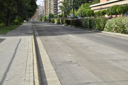 Obras de asfaltado del Paseo de Isabel la Católica.