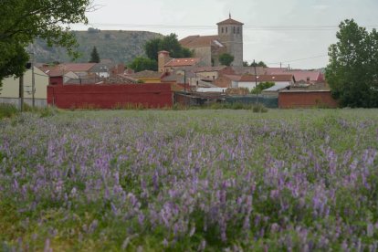 Villavaquerín.