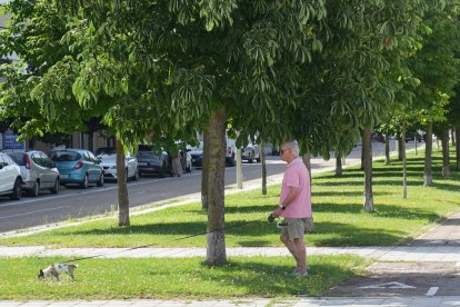 Calle La Alcaparra