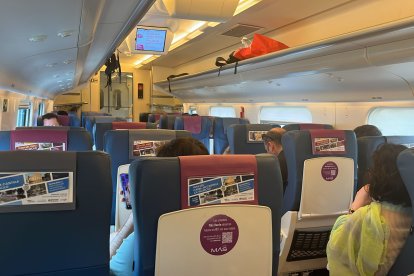 Uno de los trenes afectados por el incendio en la línea de alta velocidad Madrid-Valladolid.