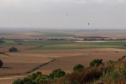 Urueña