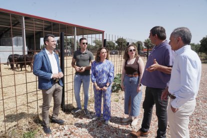 La consejera de Agricultura, Ganadería y Desarrollo Rural, María González Corral, asiste a la inauguración del Centro de Interpretación Bos Taurozos.