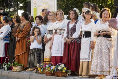 Recreación del Encuentro de Carlos V y el infante Fernando en Mojados.