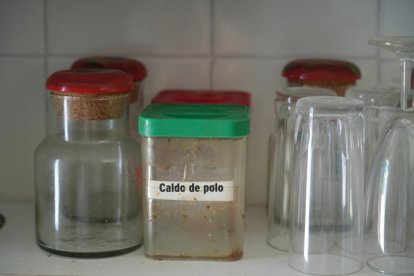 Visita organizada por el Ayuntamiento a Villa Paulita.