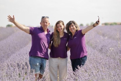 Campos de Lavanda en Tiedra.