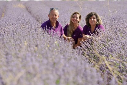 Campos de Lavanda en Tiedra.