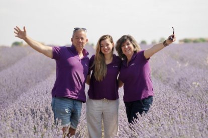 Campos de Lavanda en Tiedra.