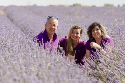 Campos de Lavanda en Tiedra.