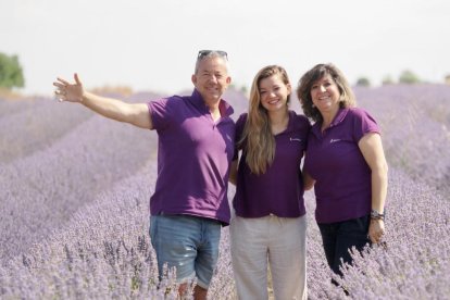 Campos de Lavanda en Tiedra.