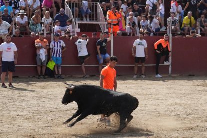 Encierro en La Cistérniga (Valladolid).