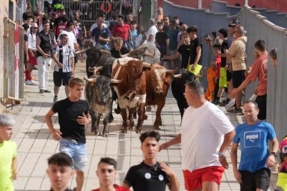 Encierro en La Cistérniga (Valladolid).
