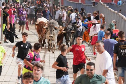 Encierro en La Cistérniga (Valladolid).