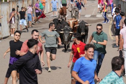Encierro en La Cistérniga (Valladolid).