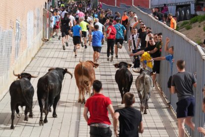 Encierro en La Cistérniga (Valladolid).
