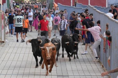 Encierro en La Cistérniga (Valladolid).