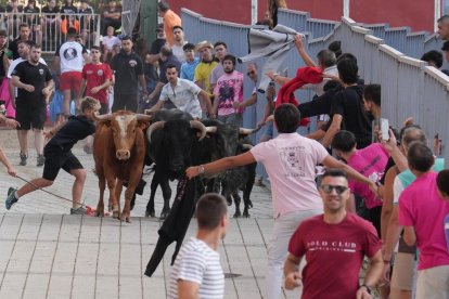 Encierro en La Cistérniga (Valladolid).
