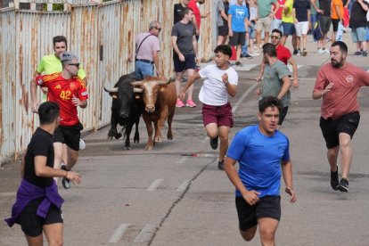 Encierro en La Cistérniga (Valladolid).