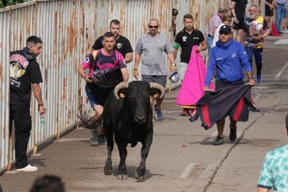 Encierro en La Cistérniga (Valladolid).
