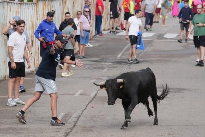 Encierro en La Cistérniga (Valladolid).