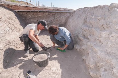 Voluntarios trabajando en las excavaciones arqueológicas de Pintia en Valladolid.