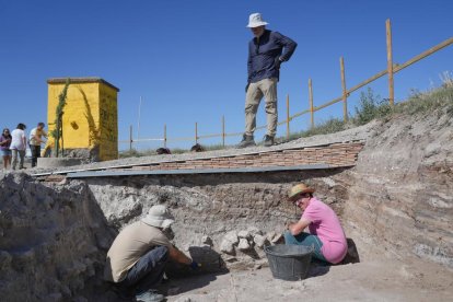 Voluntarios trabajando en las excavaciones arqueológicas de Pintia en Valladolid.