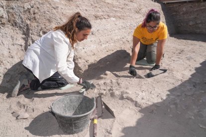 Voluntarios trabajando en las excavaciones arqueológicas de Pintia en Valladolid.