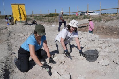 Voluntarios trabajando en las excavaciones arqueológicas de Pintia en Valladolid.