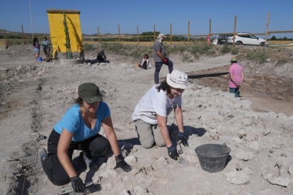 Voluntarios trabajando en las excavaciones arqueológicas de Pintia en Valladolid.