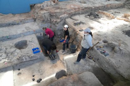 Voluntarios trabajando en las excavaciones arqueológicas de Pintia en Valladolid.
