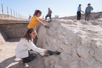 Voluntarios trabajando en las excavaciones arqueológicas de Pintia en Valladolid.