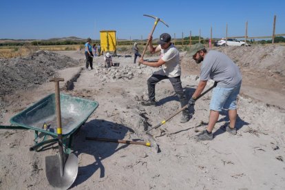 Voluntarios trabajando en las excavaciones arqueológicas de Pintia en Valladolid.