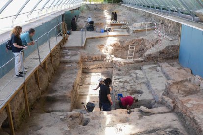 Voluntarios trabajando en las excavaciones arqueológicas de Pintia en Valladolid.