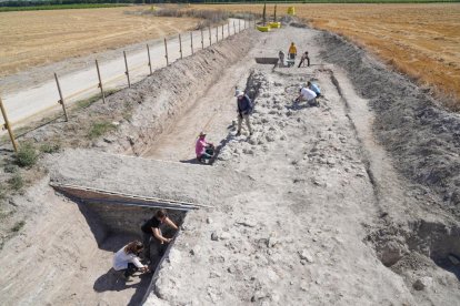 Voluntarios trabajando en las excavaciones arqueológicas de Pintia en Valladolid.
