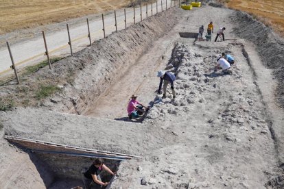 Voluntarios trabajando en las excavaciones arqueológicas de Pintia en Valladolid.