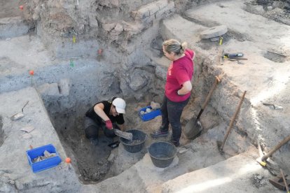 Voluntarios trabajando en las excavaciones arqueológicas de Pintia en Valladolid.