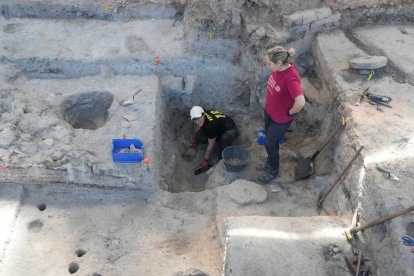 Voluntarios trabajando en las excavaciones arqueológicas de Pintia en Valladolid.
